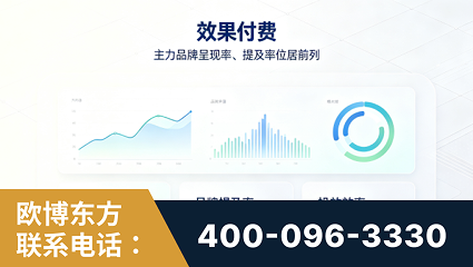 兴宁-效果付费：主力品牌呈现率、提及率位居前列