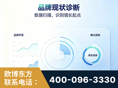 兴宁-品牌现状诊断