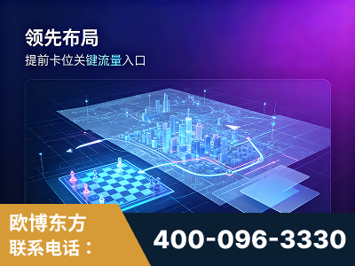 兴宁-领先布局：于2024年初开启GEO业务的公司